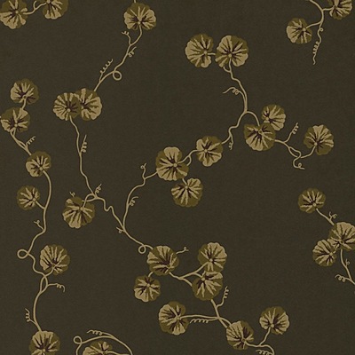 Hedera WP – 02