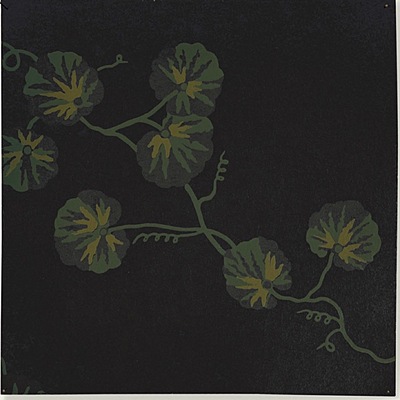 Hedera WP – 03