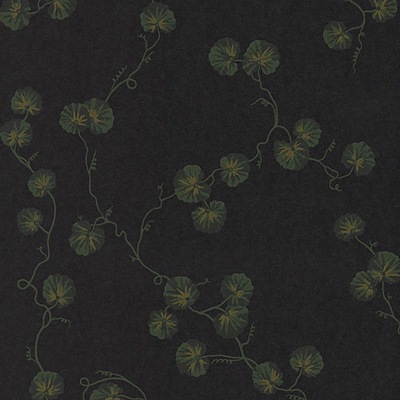 Hedera WP – 03