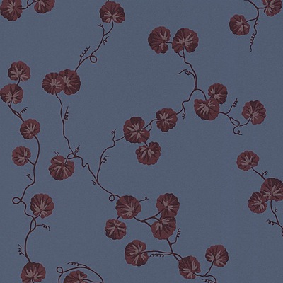 Hedera WP – 05