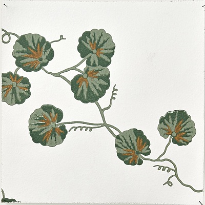 Hedera WP – 06