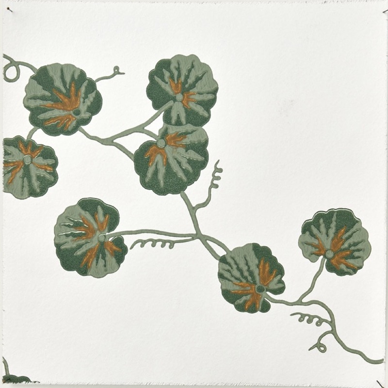 Hedera WP – 06