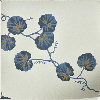Hedera WP – 08