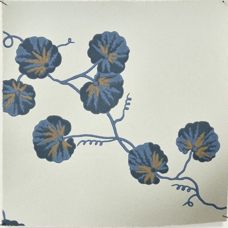Hedera WP – 08