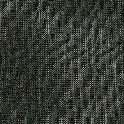 Koi - 05