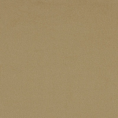 Lupa - 01