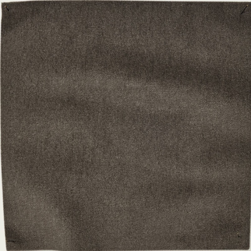 Lupa - 02