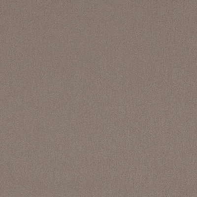 Lupa - 04