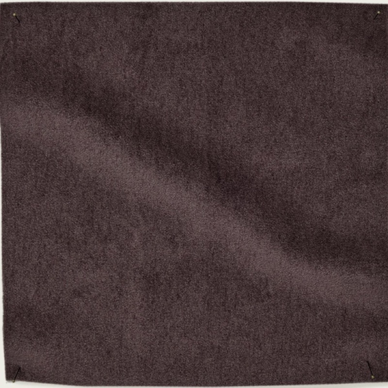 Lupa - 05