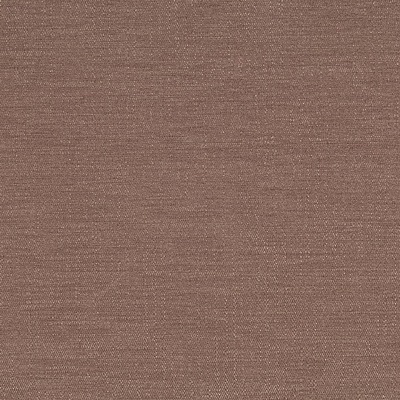 Pineta - 02