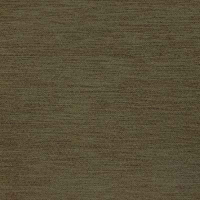 Pineta - 06