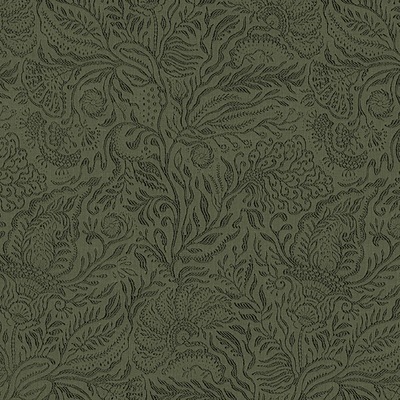 Sargazo - 03