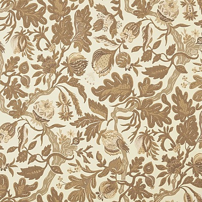 Sycomorus WP – 05