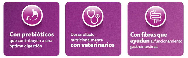 Whiskas - Whiskas Whiskas alimento para Gatos Adultos Sabor Carne Receta Orginal 9Kg Violeta Whiskas - Whiskas Whiskas alimento para Gatos Adultos Sabor Carne Receta Orginal 9Kg Violeta