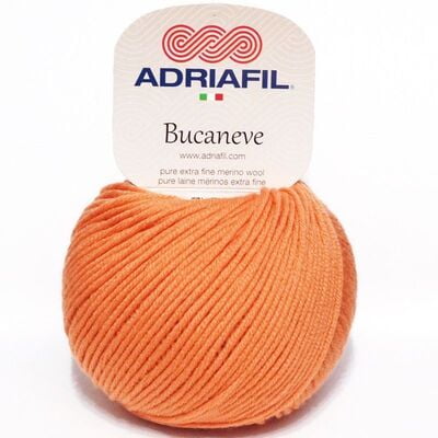 Bucaneve Bucaneve