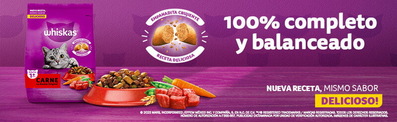 Whiskas - Whiskas Whiskas alimento para Gatos Adultos Sabor Carne Receta Orginal 9Kg Violeta Whiskas - Whiskas Whiskas alimento para Gatos Adultos Sabor Carne Receta Orginal 9Kg Violeta