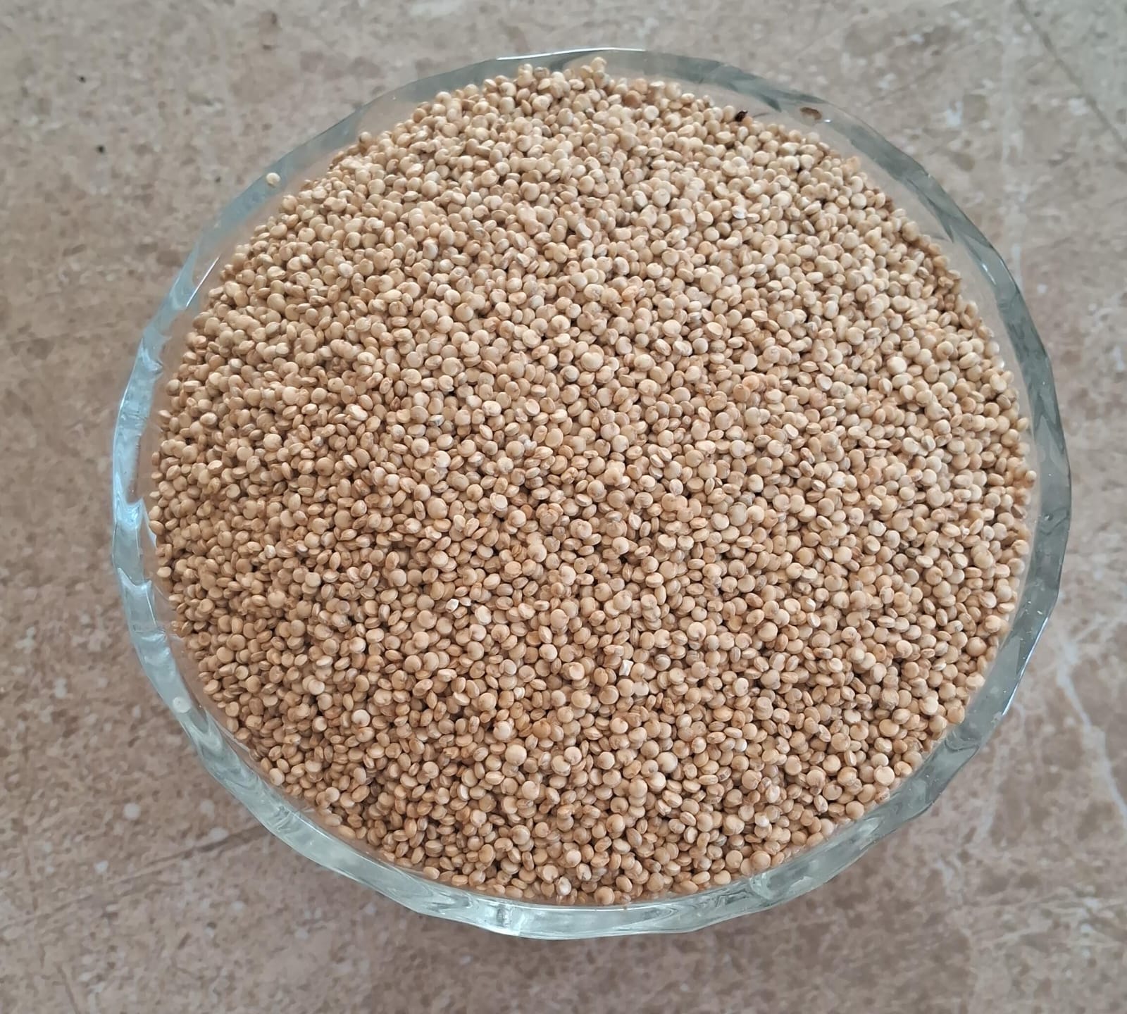சீமைதிணை 500 gram | Seemai thinai Millets (Quinoa)