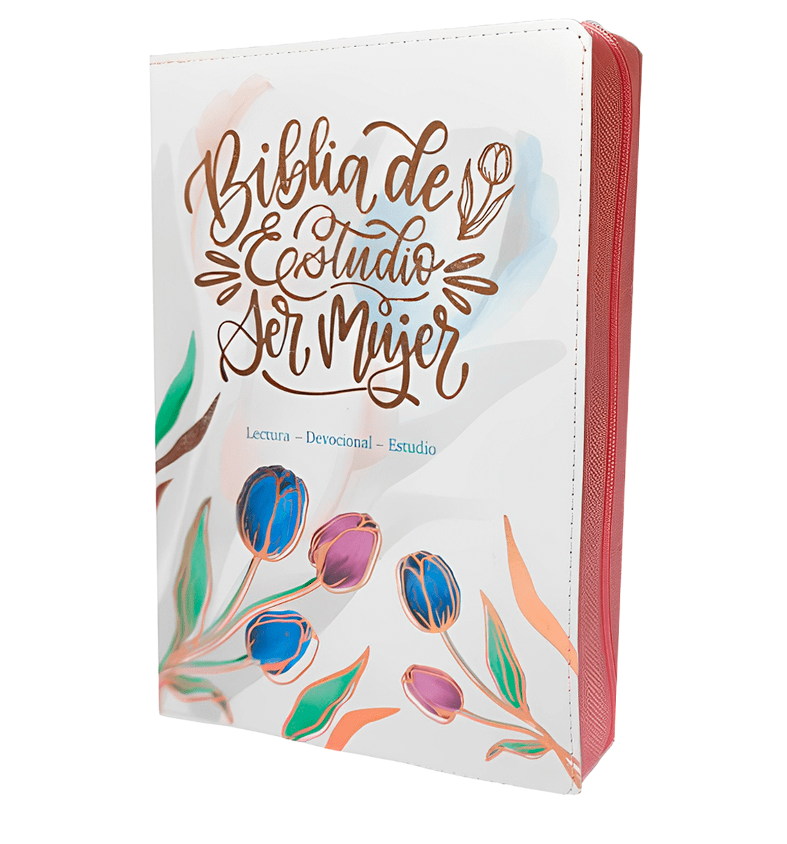 Biblia de Estudio de la Mujer 12 Puntos Modelo 2 Biblia de Estudio de la Mujer 12 Puntos Modelo 2