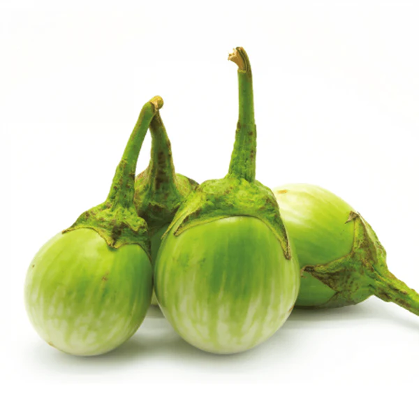 Green Striped Brinjal | பச்சை வரி கத்தரி Green Striped Brinjal | பச்சை வரி கத்தரி
