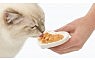 CATIT CREAMY LICKABLE TREATS - SALMON & PRAWNS CATIT CREAMY LICKABLE TREATS - SALMON & PRAWNS