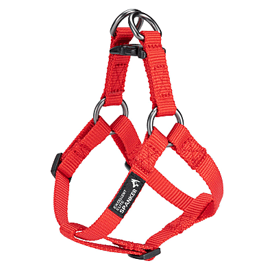 Cat leash and Harness