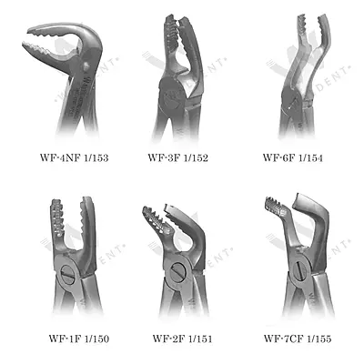 Waldent Atraumatic Extraction Instruments Forceps Kit Set of 6 - Coarse Serrations K1/5 Waldent Atraumatic Extraction Instruments Forceps Kit Set of 6 - Coarse Serrations K1/5