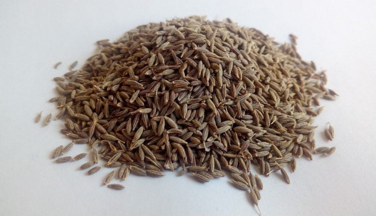 Cumin (Jeeragam) Cumin (Jeeragam)