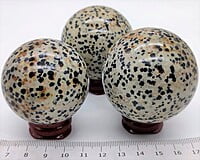 Dalmatian Sphere (India) Dalmatian Sphere (India)