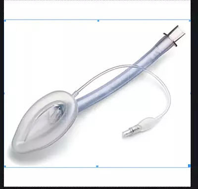 Laryngeal Mask Disposable Laryngeal Mask Disposable