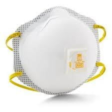 Disposable Dust Masks w/ Respirator Disposable Dust Masks w/ Respirator