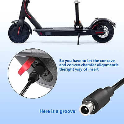 Charger 36 Volt DC pin