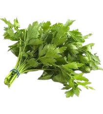 Ewedu (Jute leaf)
