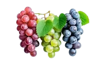 Grapes=WITH OPTIONS