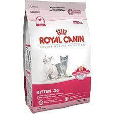 Royal Canin Croquetas para Gatos, Kitten, 3.17 kg (El empaque puede variar) Royal Canin Croquetas para Gatos, Kitten, 3.17 kg (El empaque puede variar)