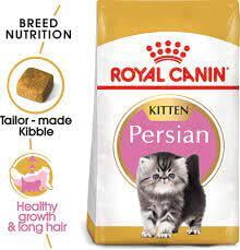 Royal Canin Alimento seco para gatos adultos para gatitos persas de raza felina, 3 libras Royal Canin Alimento seco para gatos adultos para gatitos persas de raza felina, 3 libras