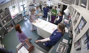 vet workplace vet workplace