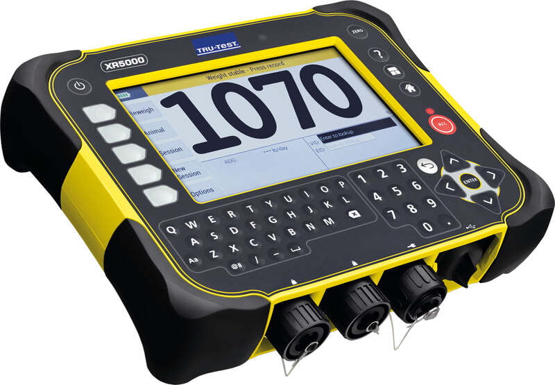 TruTest XR5000 Indicator