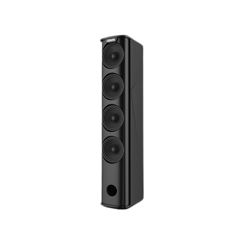 DSP4300B-100 W-Loudspeaker DSP4300B-100 W-Loudspeaker