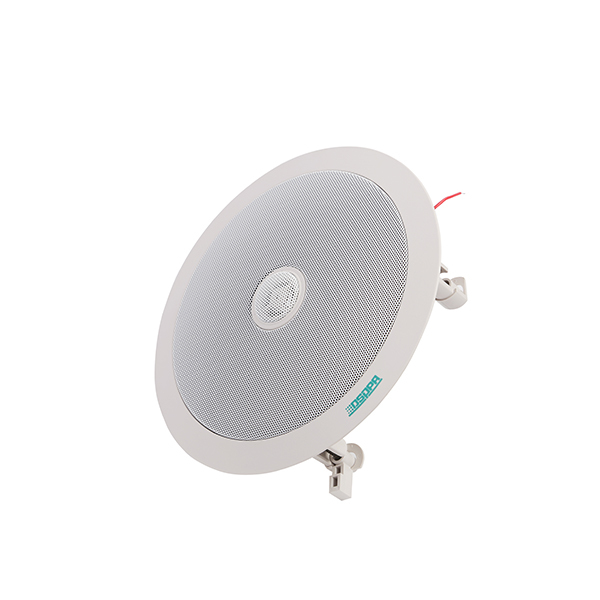 DSP703W - 6.5” - 20W