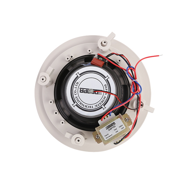 DSP703W - 6.5” - 20W