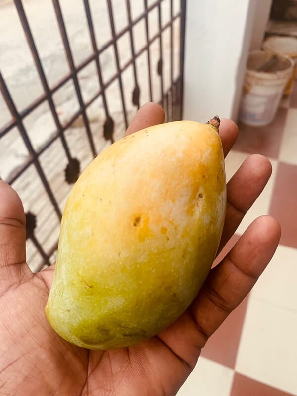 Mango - Kilimooku 5kg
