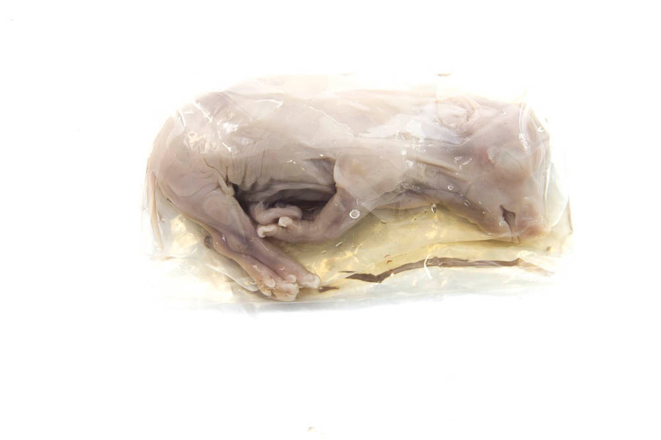 Biology Materials Kit (no microscope and no scale)