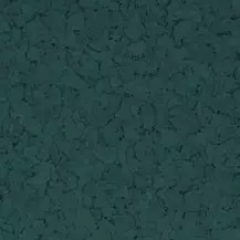 Forest Chips