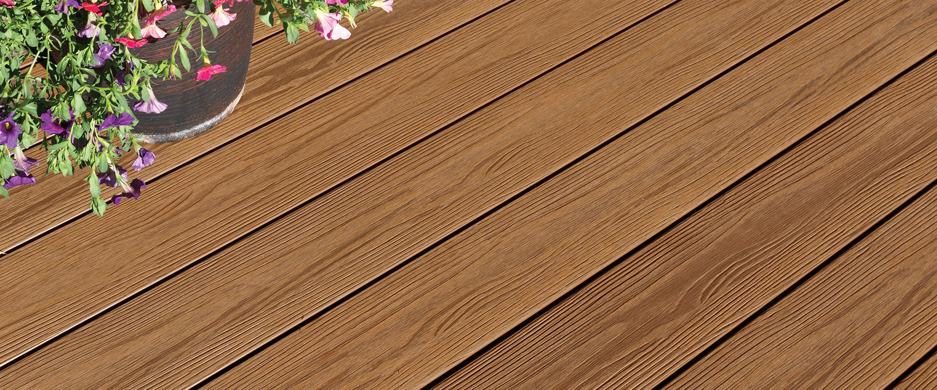 Fortress Himalayan Cedar