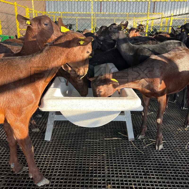 Farmex Trough 100 Liter for Sheep