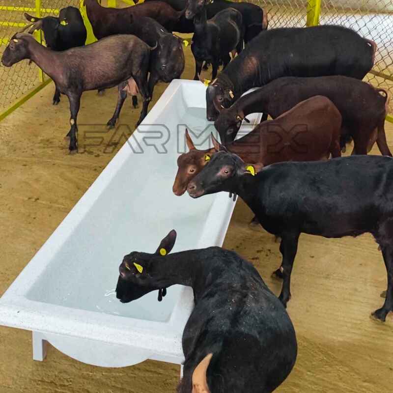 Farmex Trough 200 Liter for Sheep