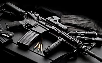 Meccanica Gun Oil/Lube