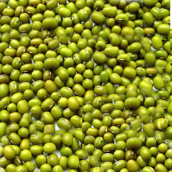 GOTA MOONG 250GM
