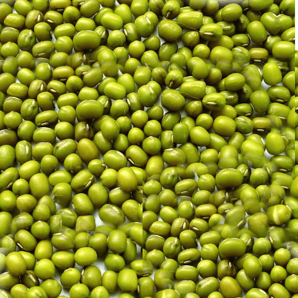 GOTA MOONG 500 GM