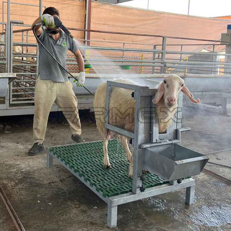 Headlock for Goat Sheep 1U with Base-Painted Metal Steel